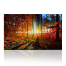 Autumn Forest Sunrise Scenery Canvas to Print / Trees Impression sur toile pour décoration murale / Dropship Art mural pour décoration maison et bureau